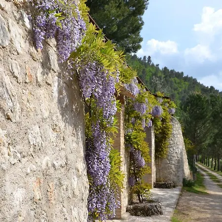 Alloggio per agriturismo Istrice Innamorato