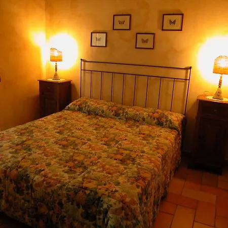 Istrice Innamorato Campello sul Clitunno