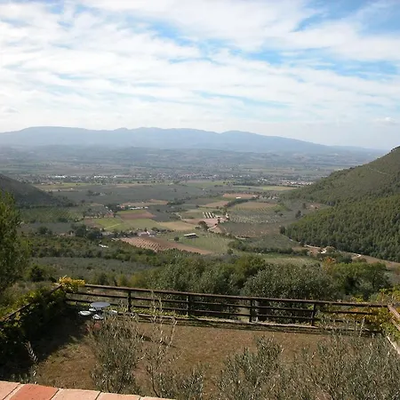 Istrice Innamorato Campello sul Clitunno