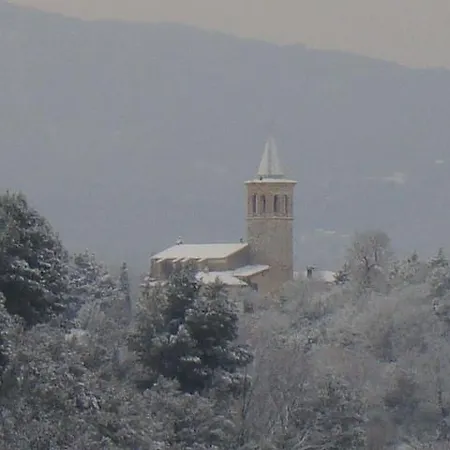 Istrice Innamorato Campello sul Clitunno